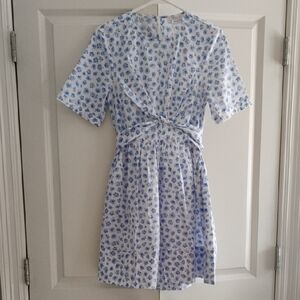 Olivaceous White and Blue Floral Dress